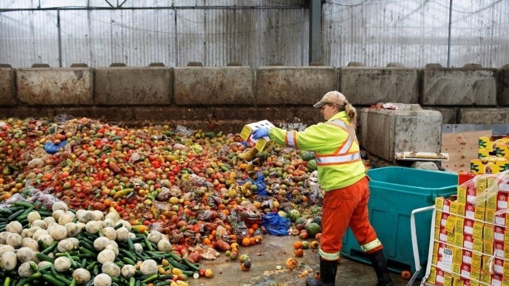 Worker disposing of altered vegetables solving environment issues in France.