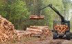 How the EU Plans to Use Imports to End Deforestation