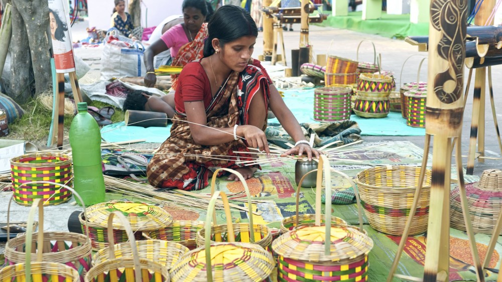 Domestic market of India